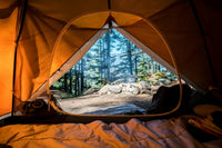 View of a forest from inside a tent
